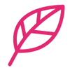 Fórmula natural icon